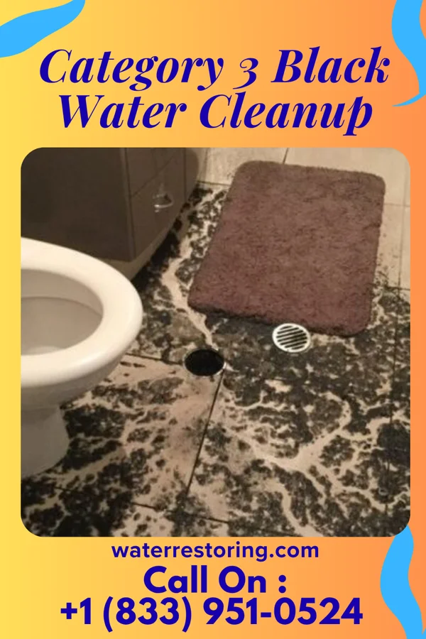 Category 3 Black Water Cleanup in Findlay, OH