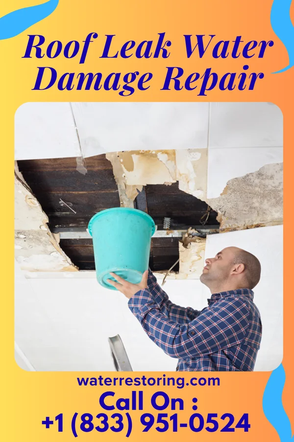 Roof Leak Water Damage Repair in Findlay, OH