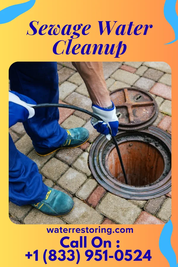 Sewage Water Cleanup in Findlay, OH