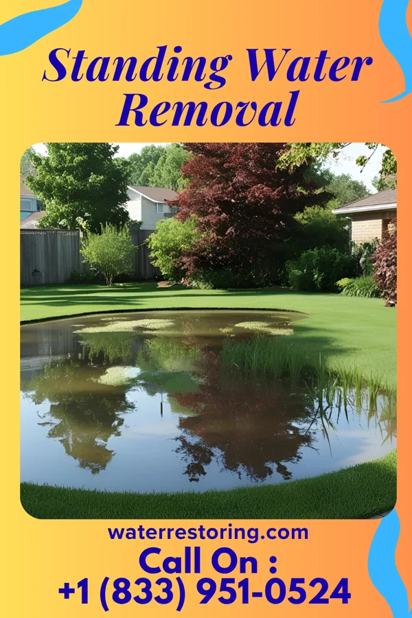 Standing Water Removal in Findlay, OH